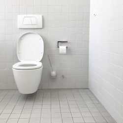 white toilet in white bathroom